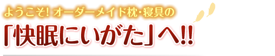 �悤����! �I�[�_�[���C�h�����T�C�g�u�����ɂ������v�ցI�I